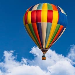 Cover image of the case