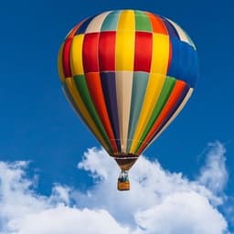 Cover image of the case