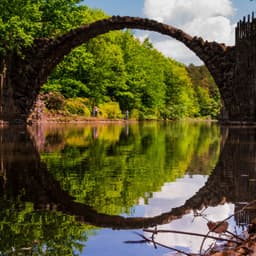 Cover image of the case