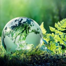 Cover image of the case