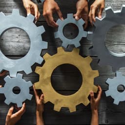 Cover image of the case