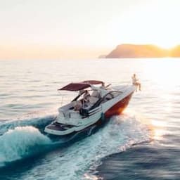 Cover image of the case