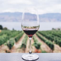 Cover image of the case